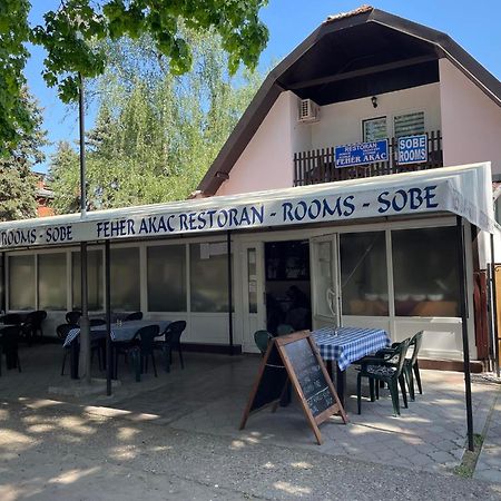 Feher Akac Guest House Palic Exterior photo